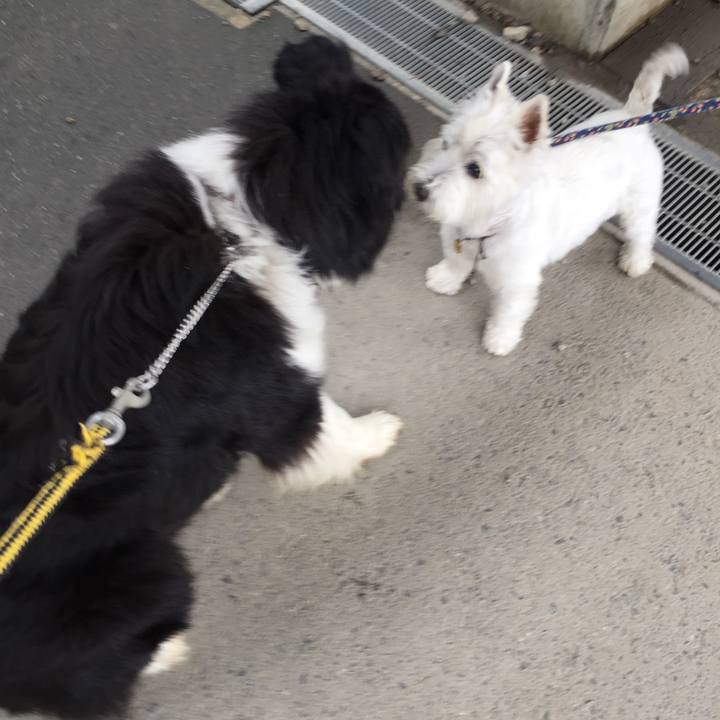 839d3545 9250 43c6 ace2 cbe0ebc87fbc 1562027711805