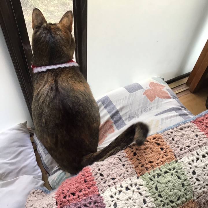 839d3b58 b9a3 41fd bb65 dbe2f01e88a6 1610166404804