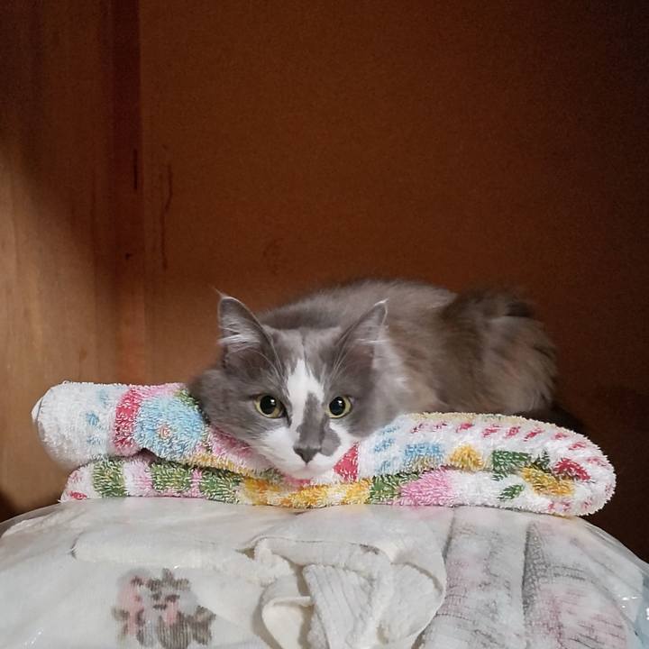 839d69c6 9436 4dc3 a5f0 ab6545f71783 1637666254008