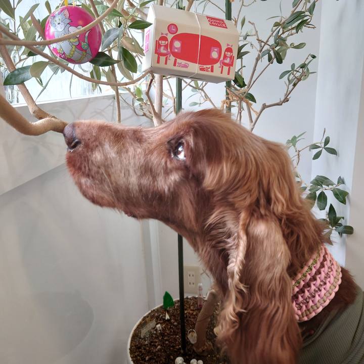 839daff7 88d1 463e aa10 2f76c90cd15c 1668392277021