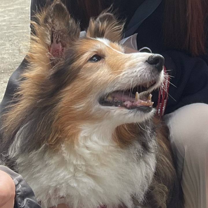 839dc0fd ca60 4c0f b44f 85ecda5839df 1634553757924