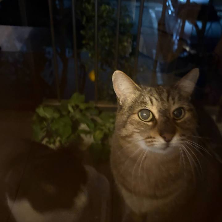 839dd3bb 54c1 4273 a6ee f0e7a78817ac 1765453460040