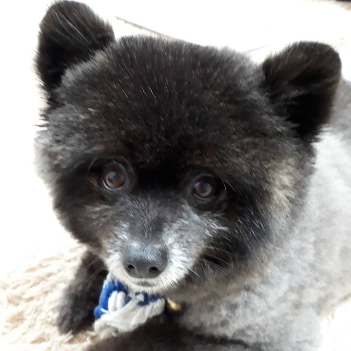 839ddbcc 21a4 457b ac4e a0977954474b 1548624383696