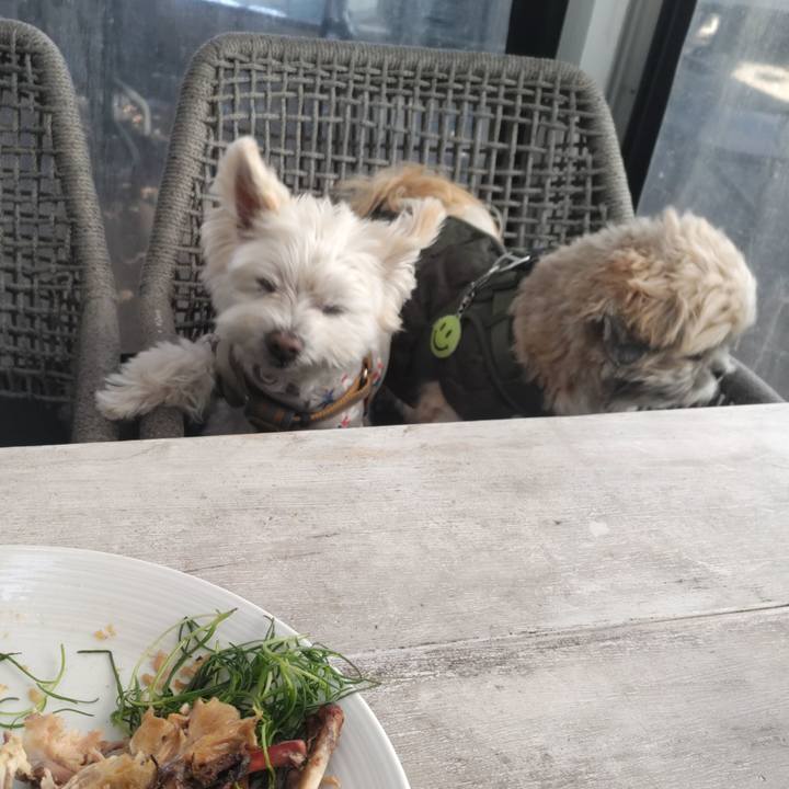 839e0b13 5080 48e8 8910 2dc56a3ae395 1765254588230