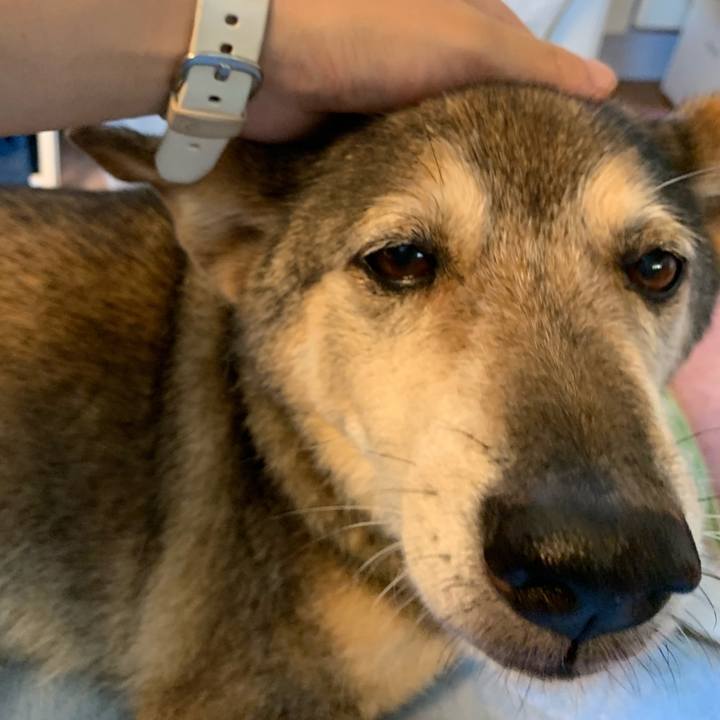 839e10c6 3d6e 4cd6 b884 45cfa21fddb4 1565566264374