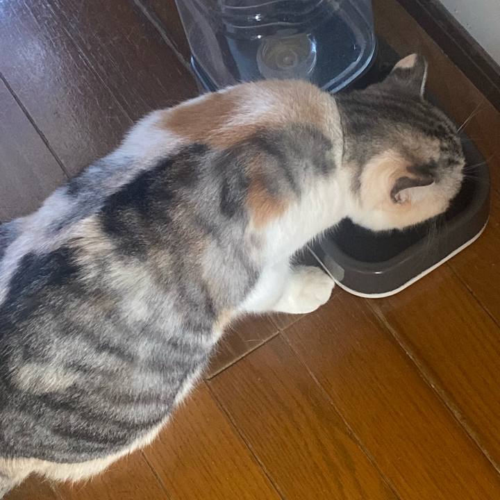 839e7310 788f 463a b457 f677ed3bc634 1763794379366