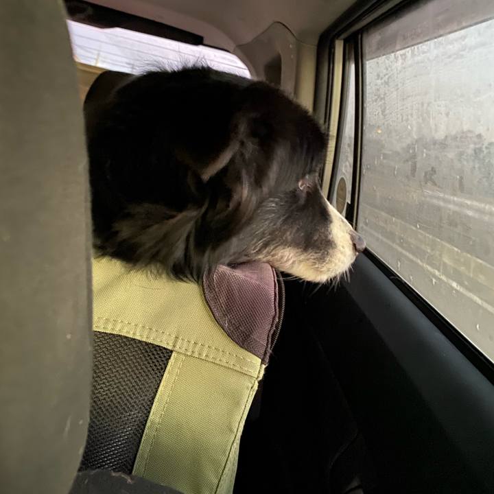 839e9d4a 4e3b 4ff6 8270 cb2aee8e158d 1642543817424