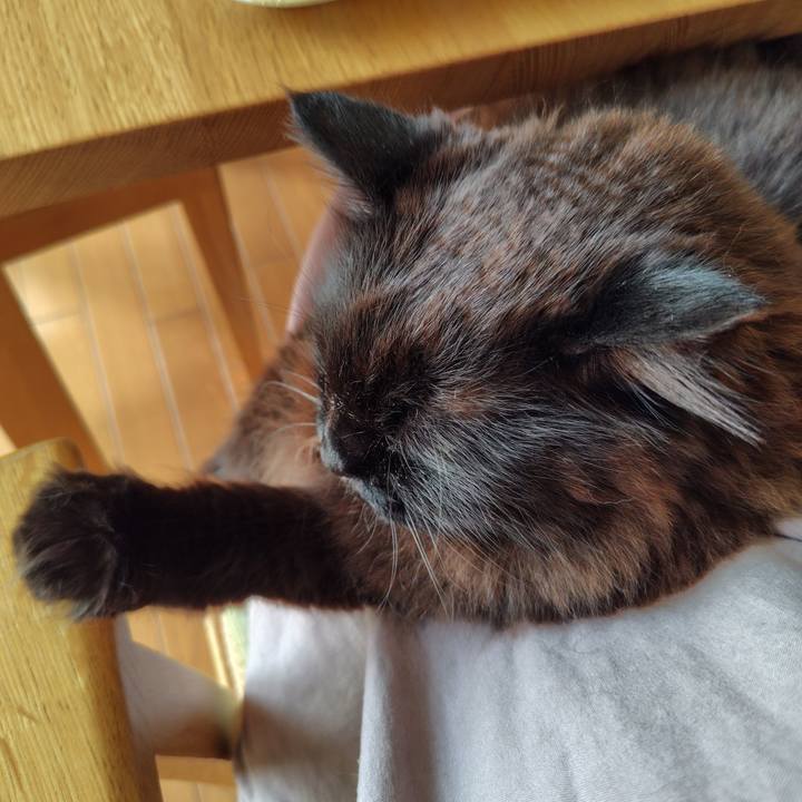 839f086b 7c75 4a9e bad4 ba295f9f33ac 1714188046948