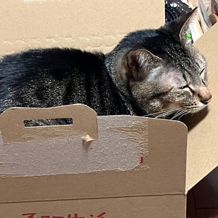 839f0c5f d065 469b 9426 ab836897369c 1770990512899