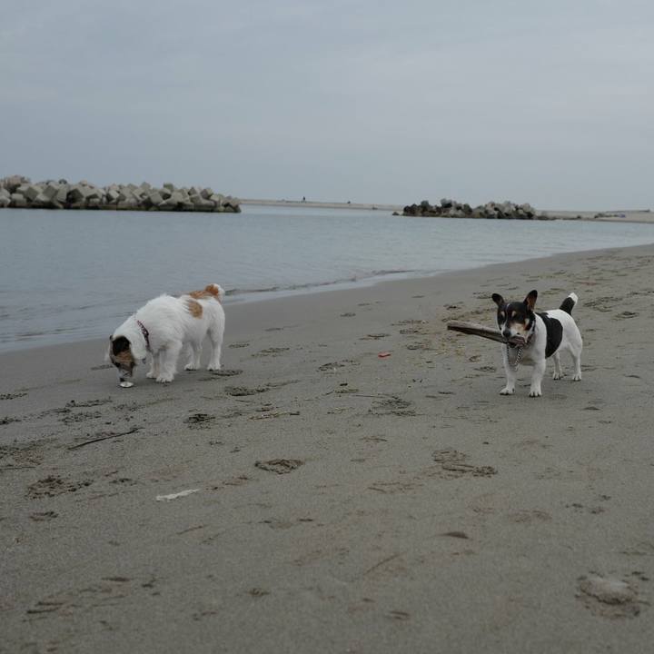 839f3fec dba3 479e bd58 5178154da39d 1526184138837