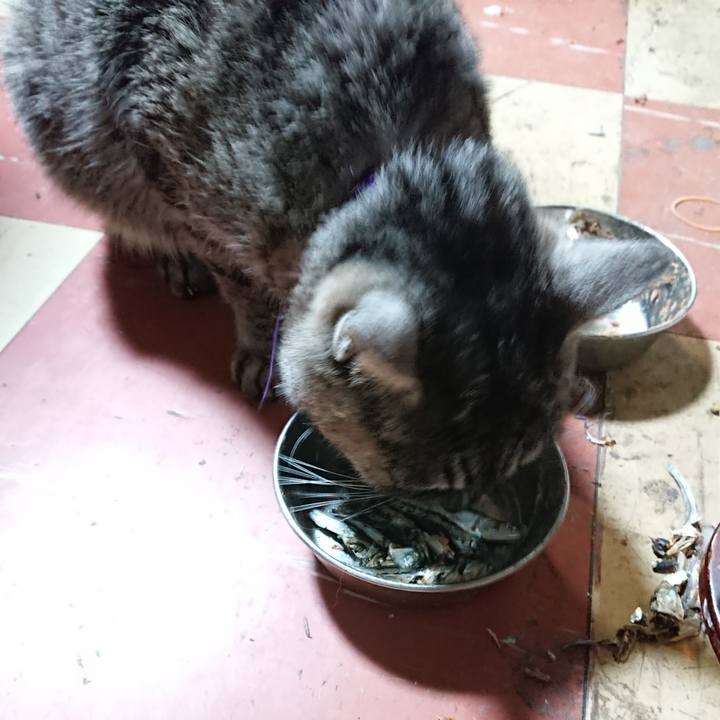 839f44d5 2df2 47ef 9b16 d814e14d247c 1583182894537