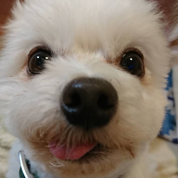 839f5178 55b5 4ae4 bc57 95b84f78fdc1 1523698444634