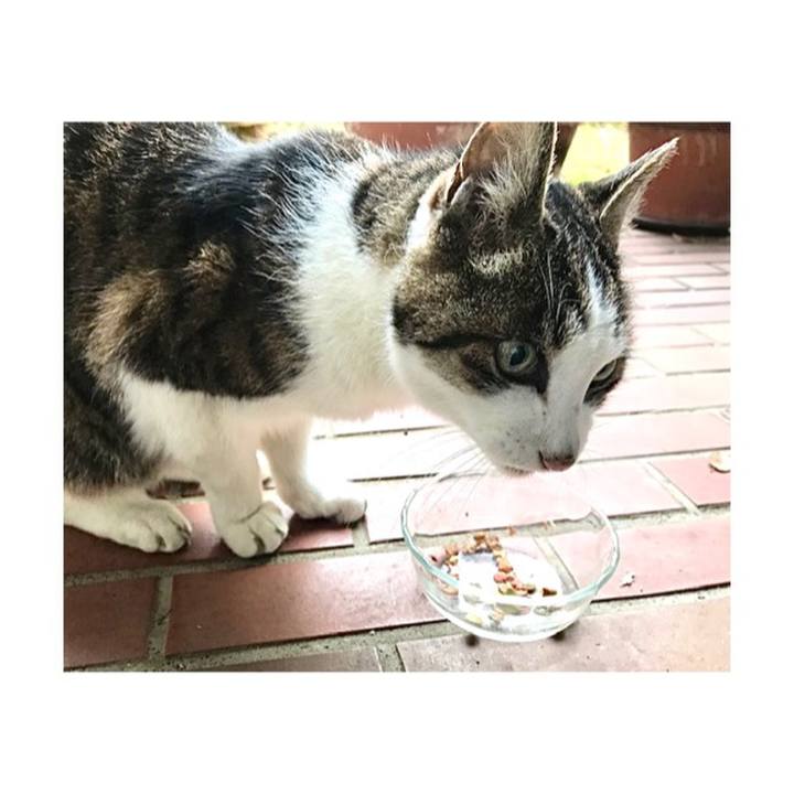 839f77ba d8ef 4793 a625 154cd2b53b53 1670030261355