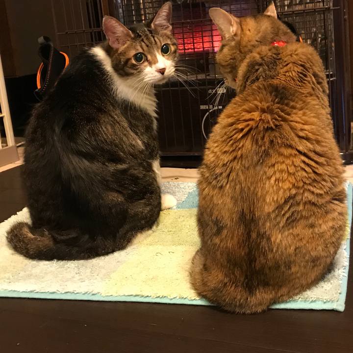 839fc125 fa11 4c66 bd6f dad21e1f0406 1513479694449