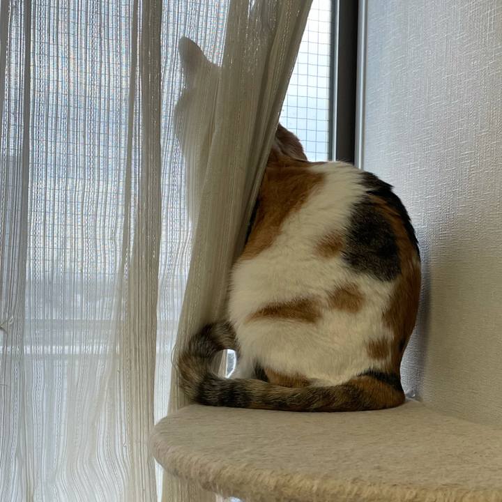 839feb4e 21fc 4604 9936 6d84ede8a8f7 1607557178723