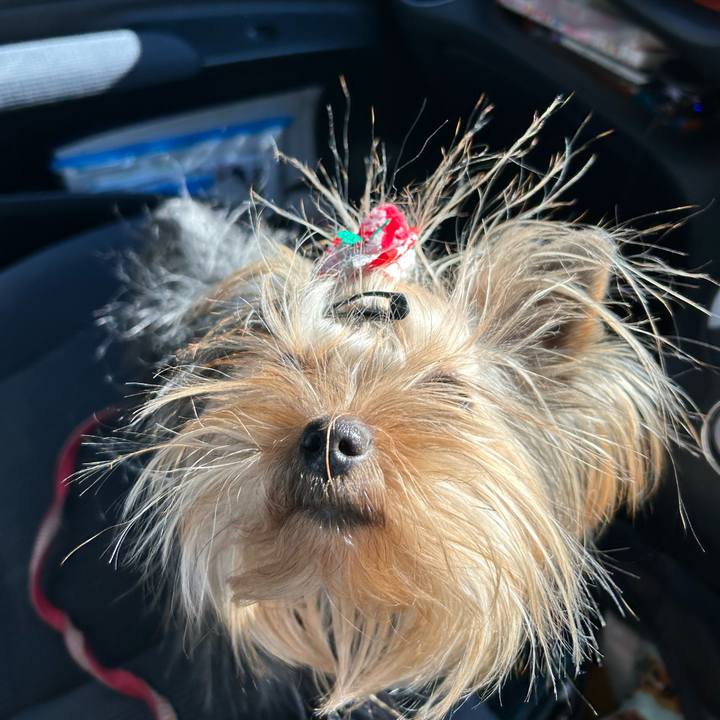 839ff179 314e 4610 9cd6 f443fd082770 1671861820941