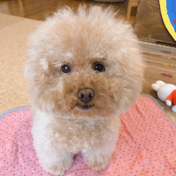 83a01fda b4a5 4f8e 99d7 0d26450c2139 1530759112684