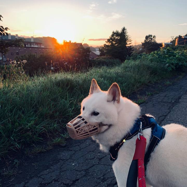 83a03de4 e0ee 4562 a55a e70ca545d30f 1660335508702