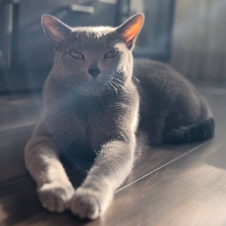 83a07dc4 6f45 4024 ade3 8771f79d177f 1742337461107