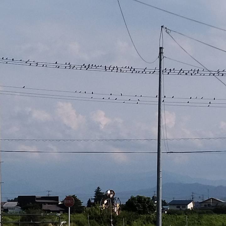 83a09509 ac4b 4856 90fd 4e80267104a5 1689067654390