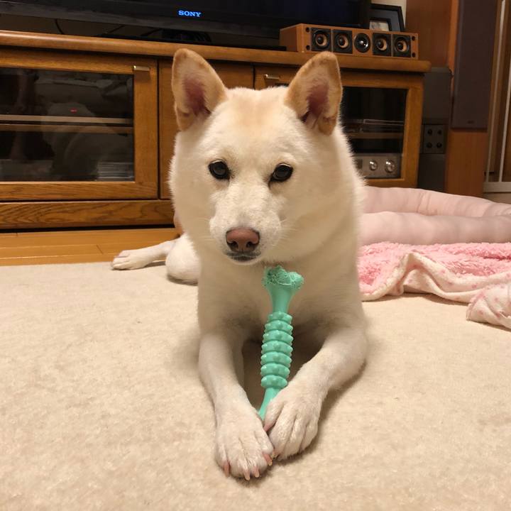 83a09b34 4a40 4c5e a56d 141fe9aac7df 1566387951911