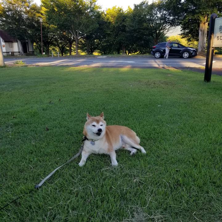 83a0a02f a637 42a9 826a 6a5f35e486d3 1628240943667