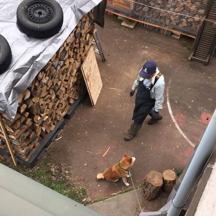 83a0a6e2 bc24 4f1e 90e4 8b445216fe39 1555902988902