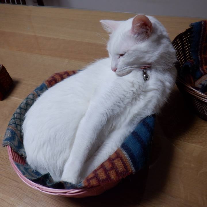 83a0b5a2 a566 458d bd86 bdaec8736bf5 1633656515799