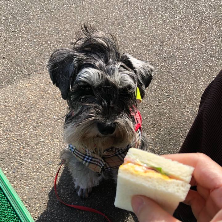 83a11905 75a2 49e4 98b6 c27954c3bb79 1584799079683