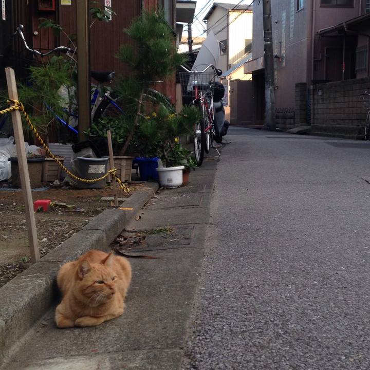 83a1417b 0e1e 4e9f aa29 d793d087d6df 1509718737634