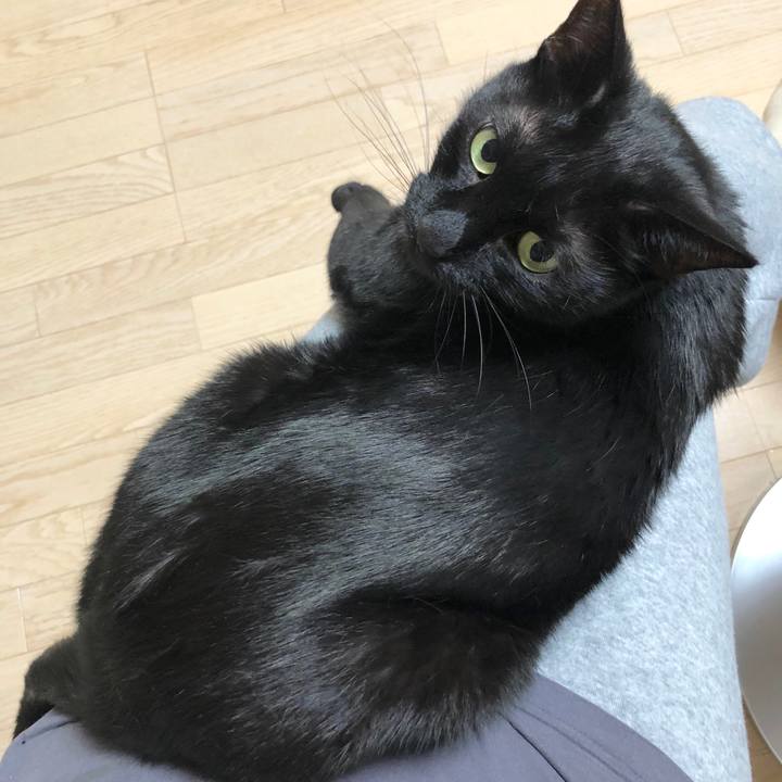 83a1b707 a94c 4786 a3ae bb5b050623d9 1589544808728