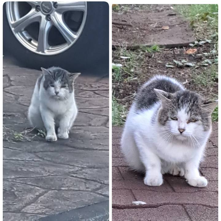 83a1c087 8800 4946 bd9d 458311859011 1697895048608