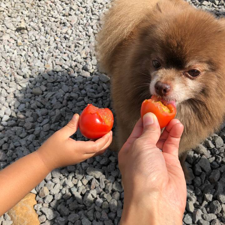 83a1d311 0b99 4d31 b9b2 2f1bbeb2a117 1534073070925