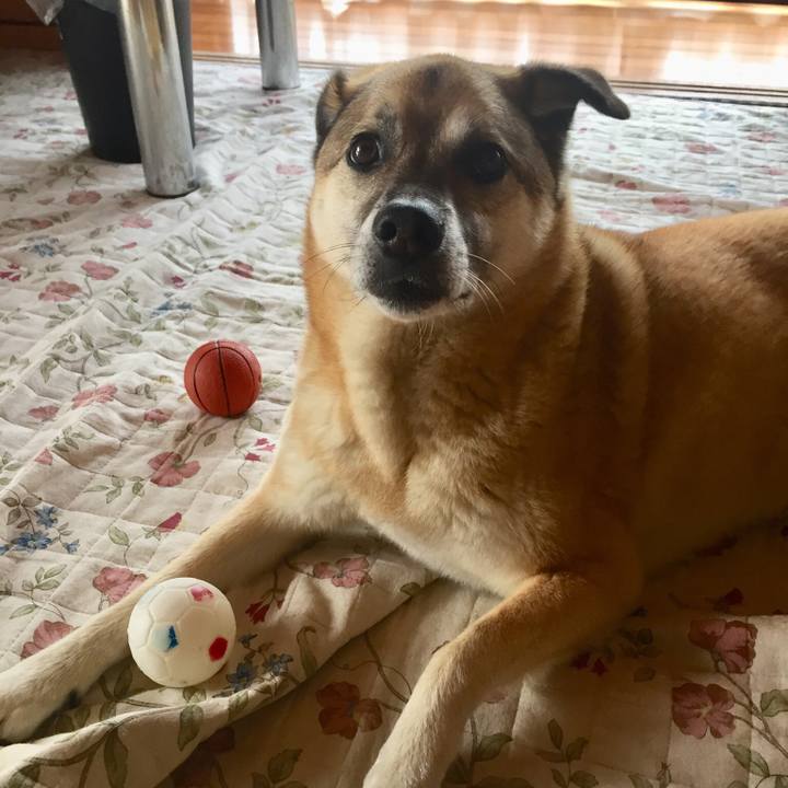 83a21b61 8d1a 4e26 b02b 707071b3ae02 1528171414694