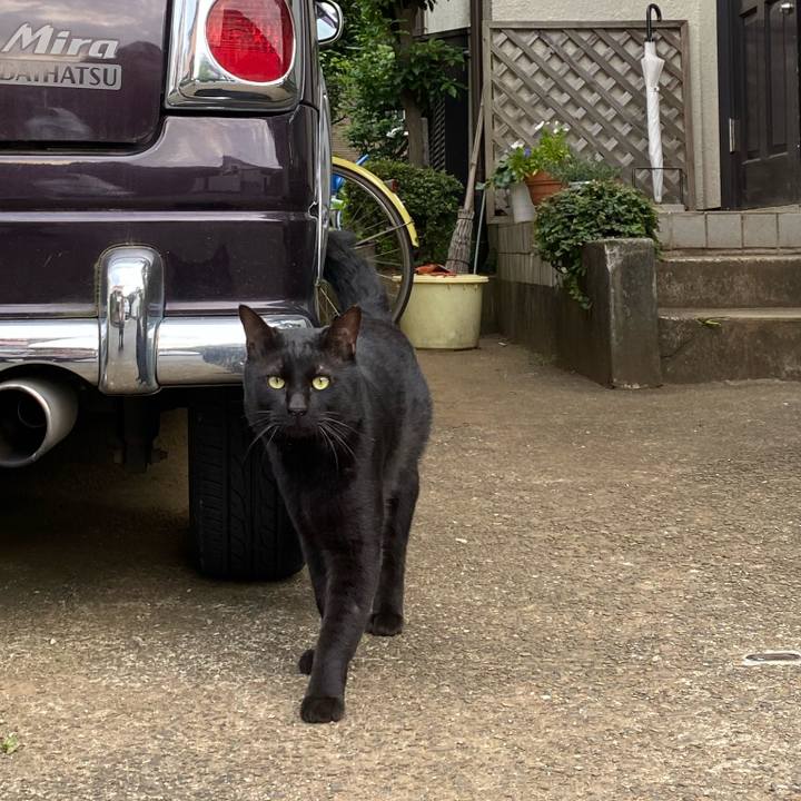 83a225cc aaff 416c a28a 130ff3014704 1623497101441