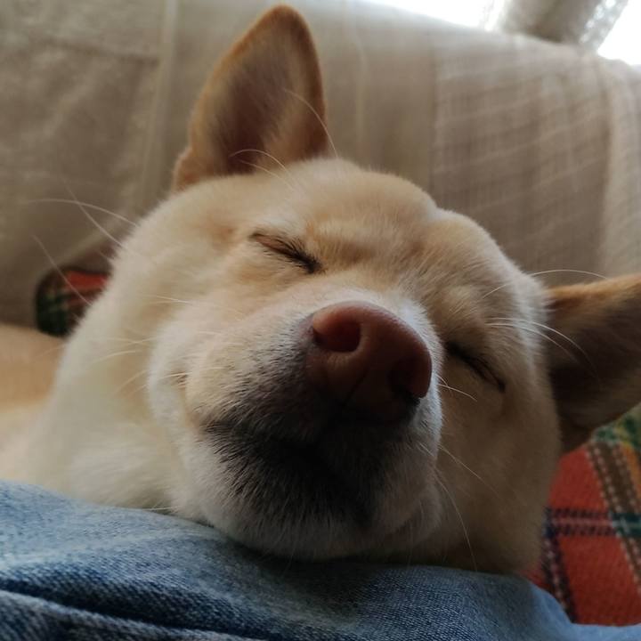 83a2346f 078b 4856 9ded 10c28aae4600 1518409653044