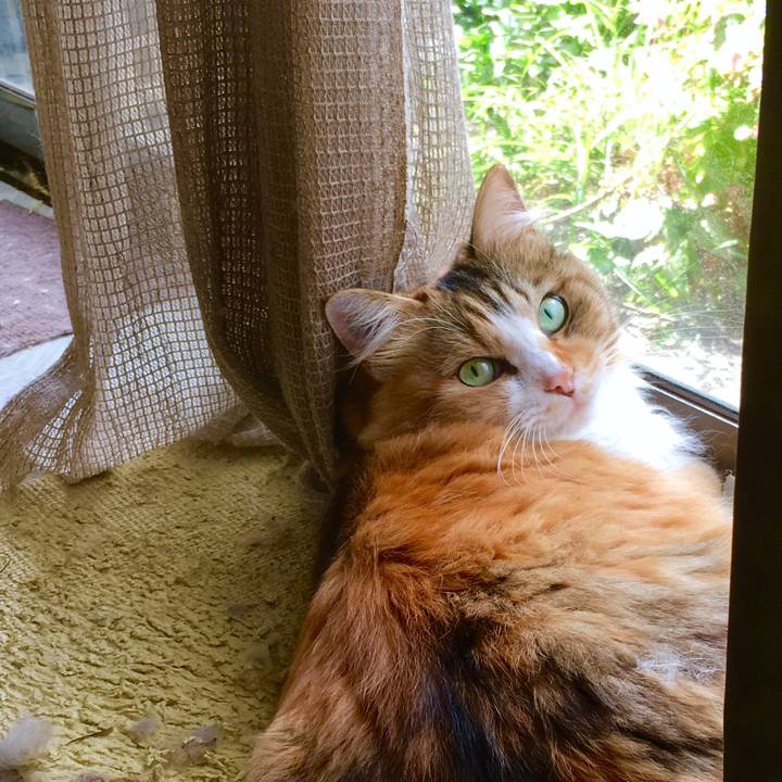 83a23485 d353 4c47 8a08 0200a884660b 1569467199576