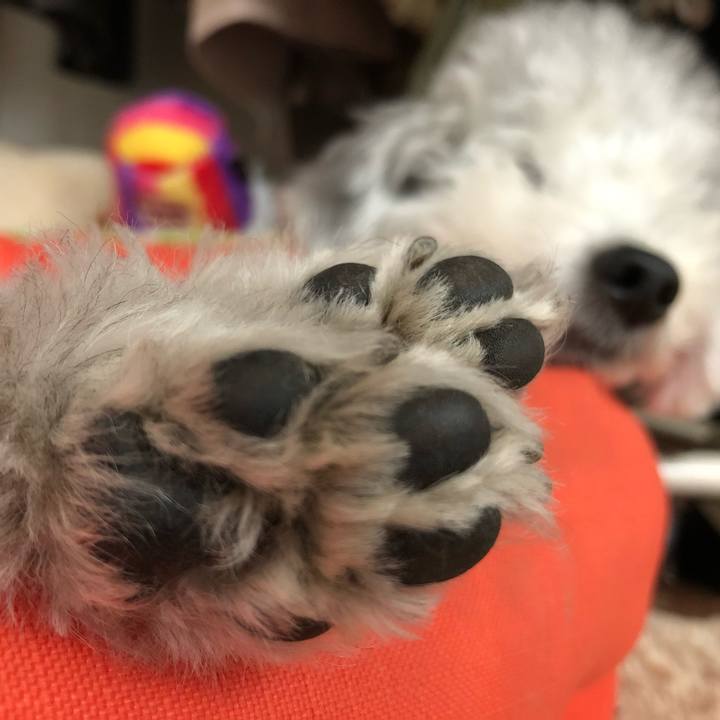 83a2865d 58cf 4d19 9453 ec8bfff4d27f 1574138880300