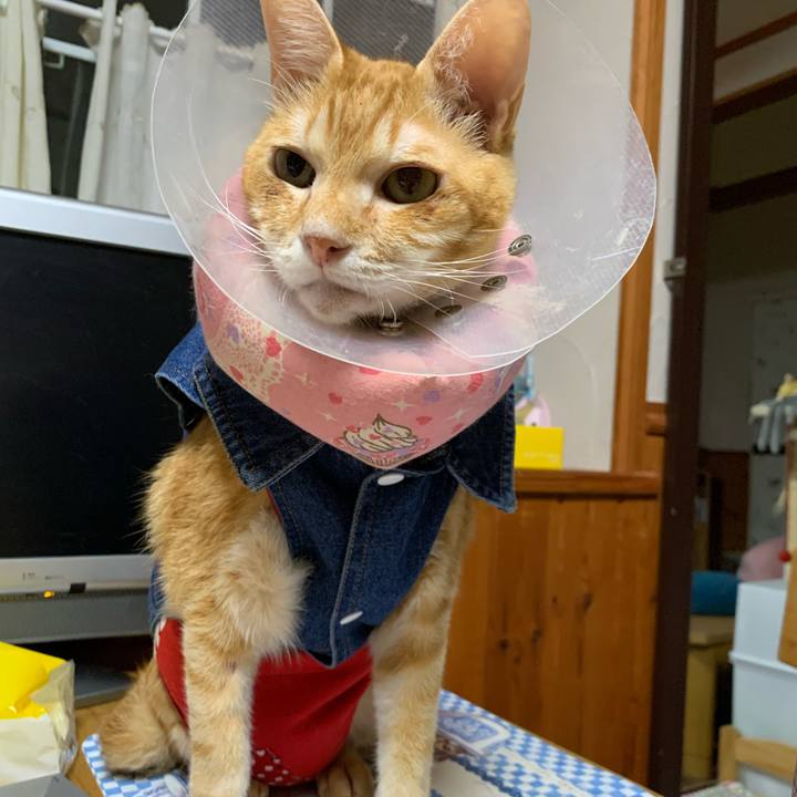 83a2917f 1c84 4be2 88f3 830d5d82a92a 1623066985104