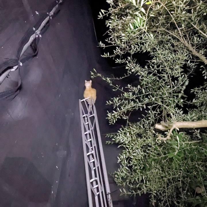 83a2bd7a 4dee 47ec a670 abcd86119c6b 1770983176650