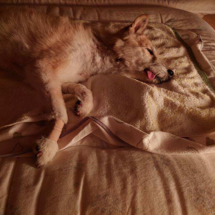 83a2c648 b1d1 4f8b ac1d 42804c8f36d6 1657551061284