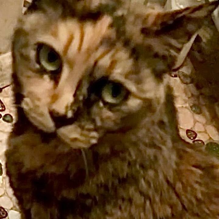 83a2e2b0 d1c5 4d24 8989 72154f099a51 1746908532518