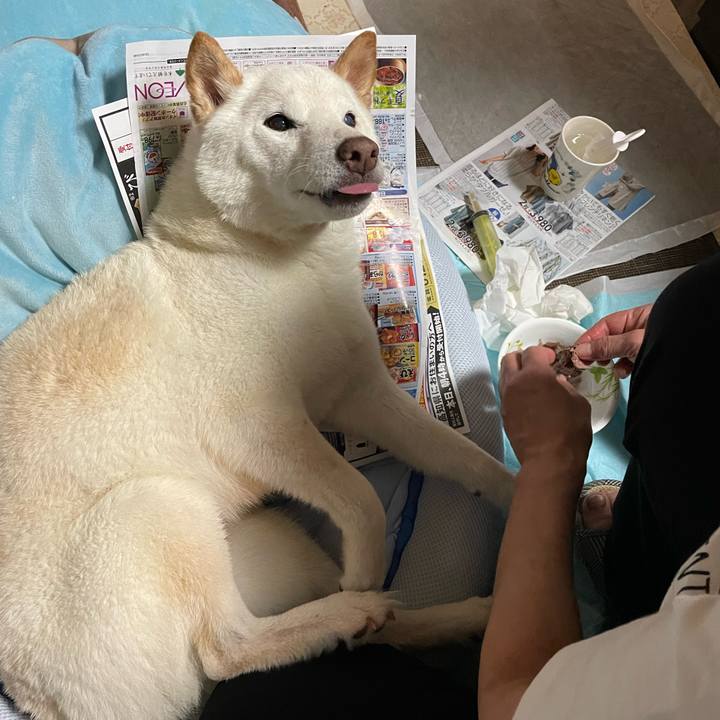 83a2f98f 0bb7 49b8 a55b d642c7b03c0e 1654099760316