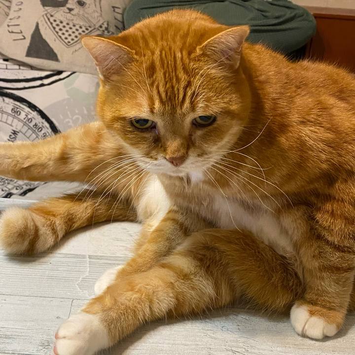 83a2faf9 de80 4449 b378 e05dee1a3017 1676213926187