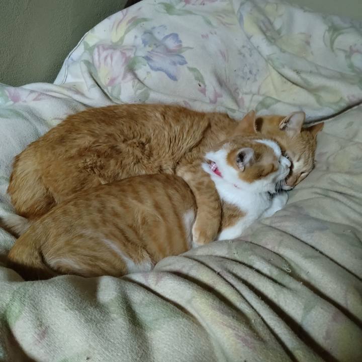 83a35b2f 836a 42ee b1b3 b385560b2fd9 1741003867141