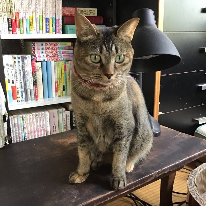 83a362c2 1c1f 4413 9304 ec8755baf462 1631787346897