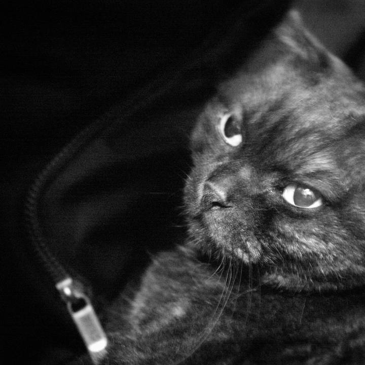 83a36377 1c88 457b 96bd 20df41165619 1537458454899