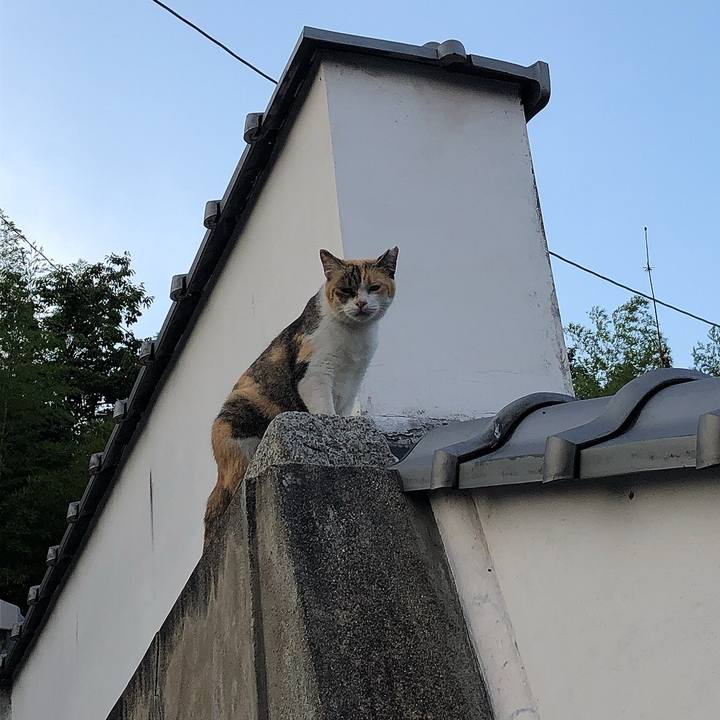 83a37f56 b093 4b4f bce0 dddd1dc0e74a 1660296100490