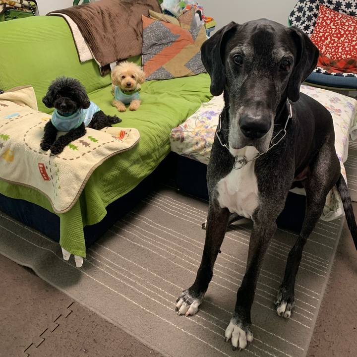 83a38e47 92ba 4053 b3e3 960e76cea49c 1592174143343