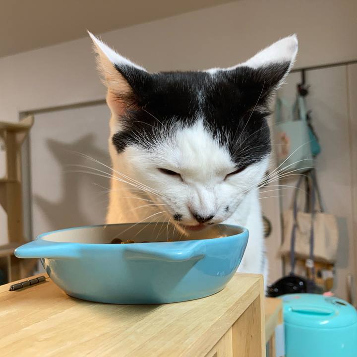 83a39ab4 b384 4ef8 b6ac 24a9d17ff4c7 1759352388121